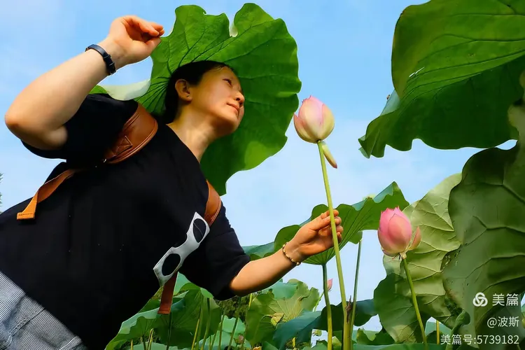 【愿做菩萨那朵莲】
